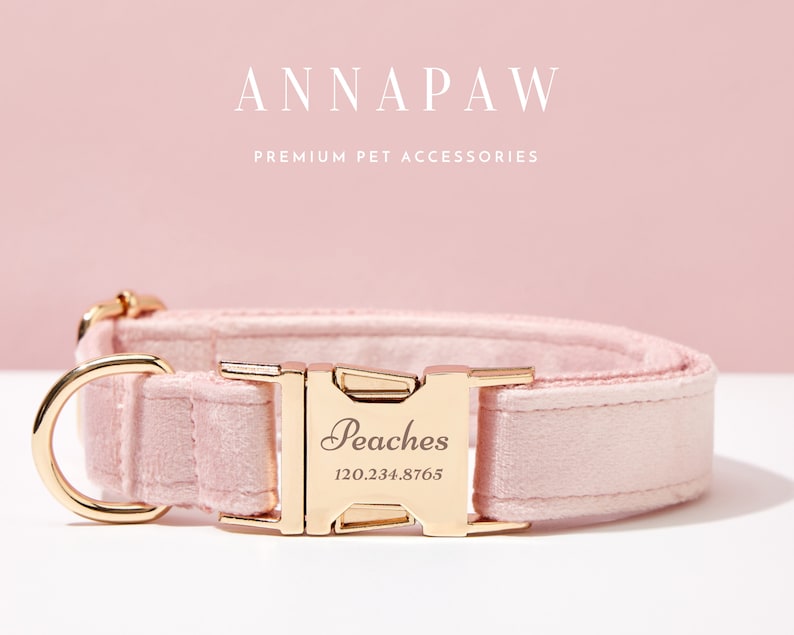 May include: A pink velvet dog collar with a gold buckle and a personalized name tag that reads "Peaches 120.234.8765".