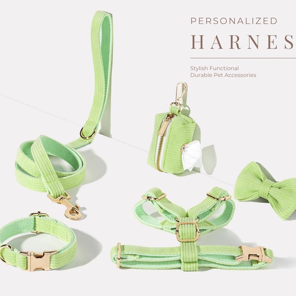 Harnais pour chien en velours côtelé vert + laisse + collier + nœud papillon + ensemble de support de sac de caca, étape personnalisée dans le harnais fantaisie plaque signalétique gravée de luxe