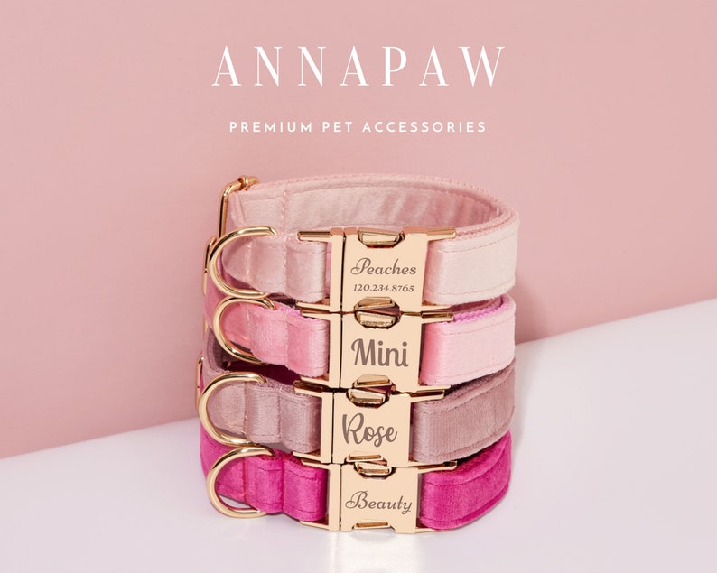 May include: Four pink velvet dog collars with gold buckles and personalized engraved name tags. The collars are stacked on top of each other, with the top collar being the lightest shade of pink and the bottom collar being the darkest shade of pink. The name tags read "Peaches 120.234.8765", "Mini", "Rose", and "Beauty".