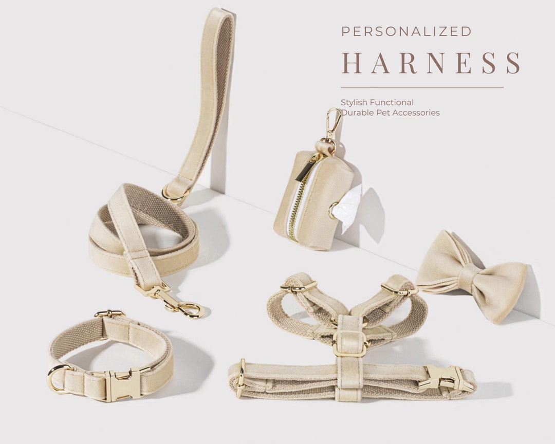Beige Dog Harness Personalized Name, Dog Wedding Harness and Lead