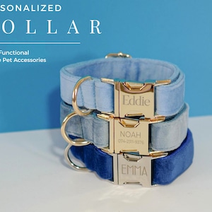May include: Three personalised dog collars in blue velvet with gold buckles. The top collar is light blue with the name "Eddie" engraved on the buckle. The middle collar is a darker blue with the name "Noah" and a phone number engraved on the buckle. The bottom collar is a deep blue with the name "Emma" engraved on the buckle.