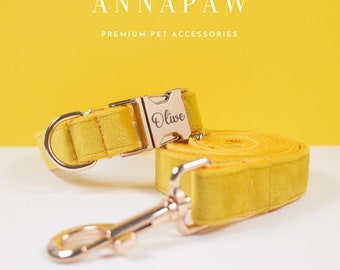 Könnte beinhalten: Ein gelbes Samt-Hundehalsband und eine Leine mit goldenen Beschlägen. Das Halsband hat ein personalisiertes Namensschild mit der Aufschrift "Olive".
