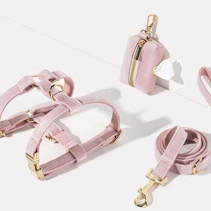 Ensemble de laisses personnalisées en velours rose pour chien avec plaque signalétique gravée, harnais pour chiot en velours doux, laisse pour chiot, distributeur de sacs à crottes pour chiot