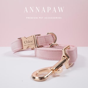 May include: A pink velvet dog collar and leash set with gold-colored hardware. The collar buckle is engraved with the name "Chloe" and a phone number. The text "ANNAPAW PREMIUM PET ACCESSORIES" is at the top.