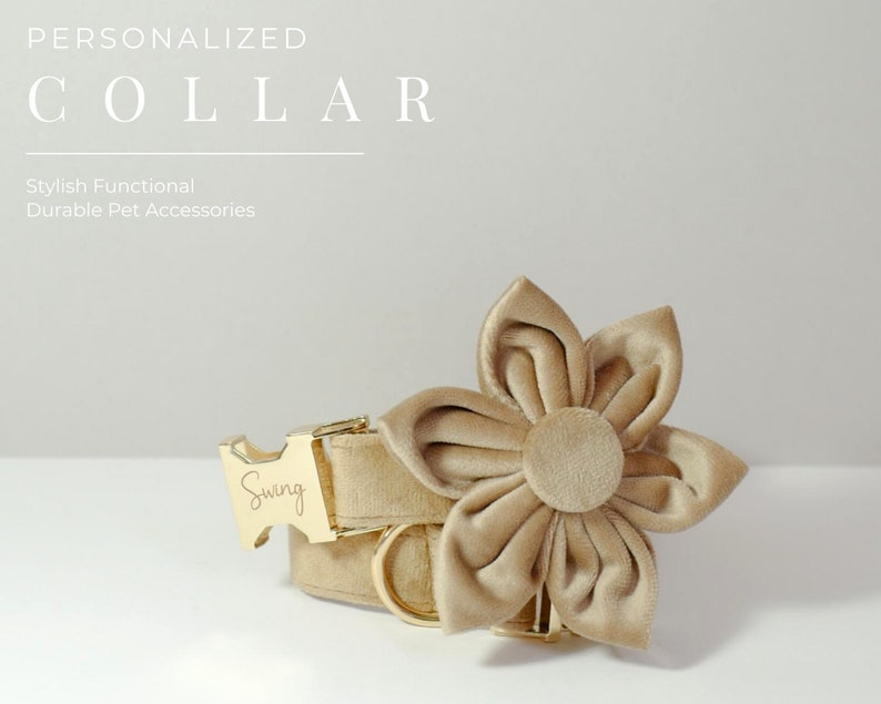 Puede incluir: Un collar de perro de terciopelo beige con una hebilla dorada y un dije de flor a juego. La hebilla est&aacute; grabada con la palabra "Swing".