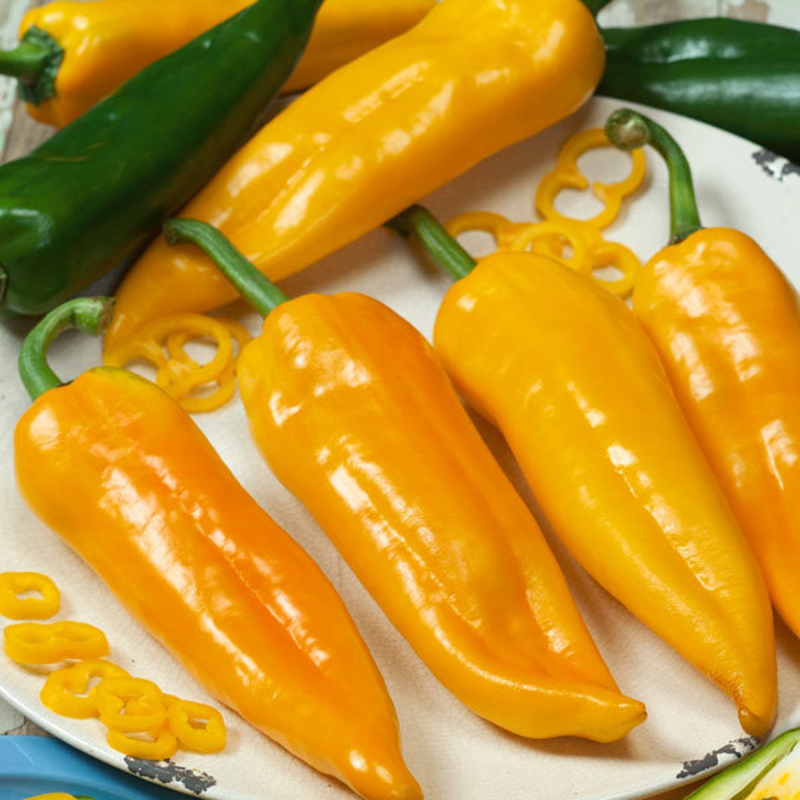 Bell sweet pepper Yellow tusk Russian High Etsy