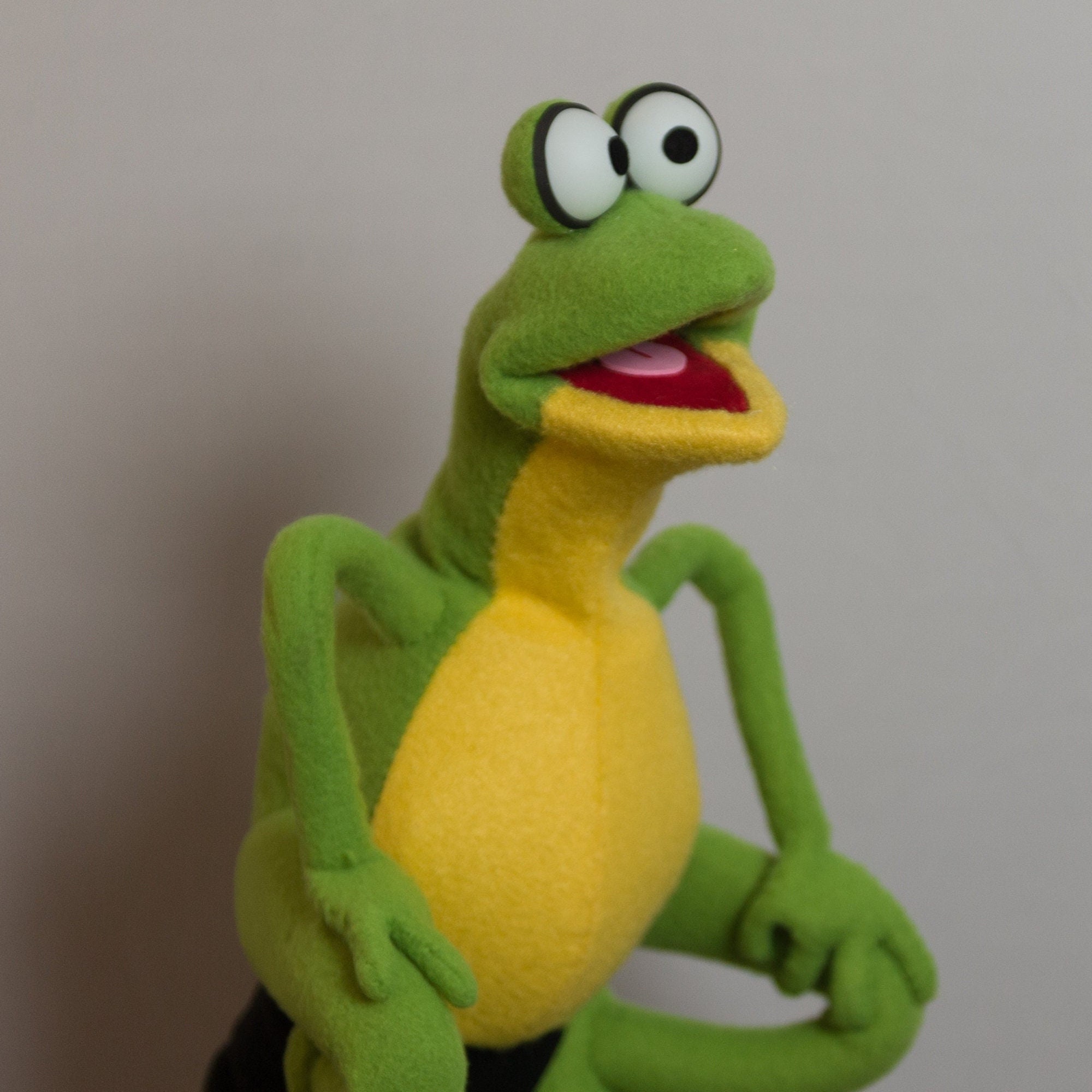 Custom Professional Puppet, Professional Frog Hand Puppet, Green