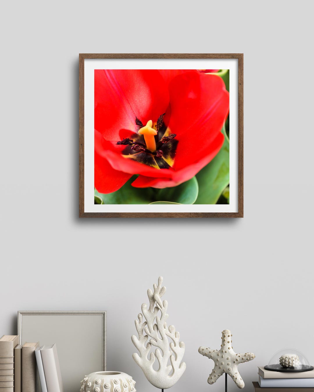 Red Tulip Wall Art – Original Photography – Instant Digital Download - Etsy