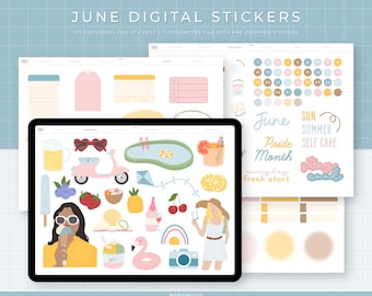 June Digital Stickers | 155 Hand-drawn, functional & quotes stickers for summer | Individual PNG files, GoodNotes pre-cropped stickers