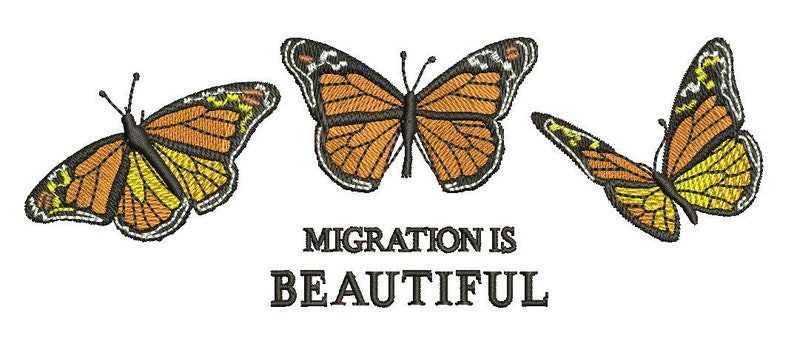 May include: Three orange and black butterflies with yellow accents are arranged in a row. The butterflies are flying in different directions. The text "Migration is Beautiful" is written below the butterflies.