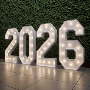 Benutzerdefinierte Marquee Numbers - große LED-Leuchtzahlen 0-9 für Geburtstage, Jubiläen, Hochzeiten (3 Fuß / 4 Fuß) - Partydekor und Fotohintergrund