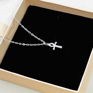 May include: A silver chain necklace with an ankh pendant. The necklace is displayed in a brown box with a black velvet lining.