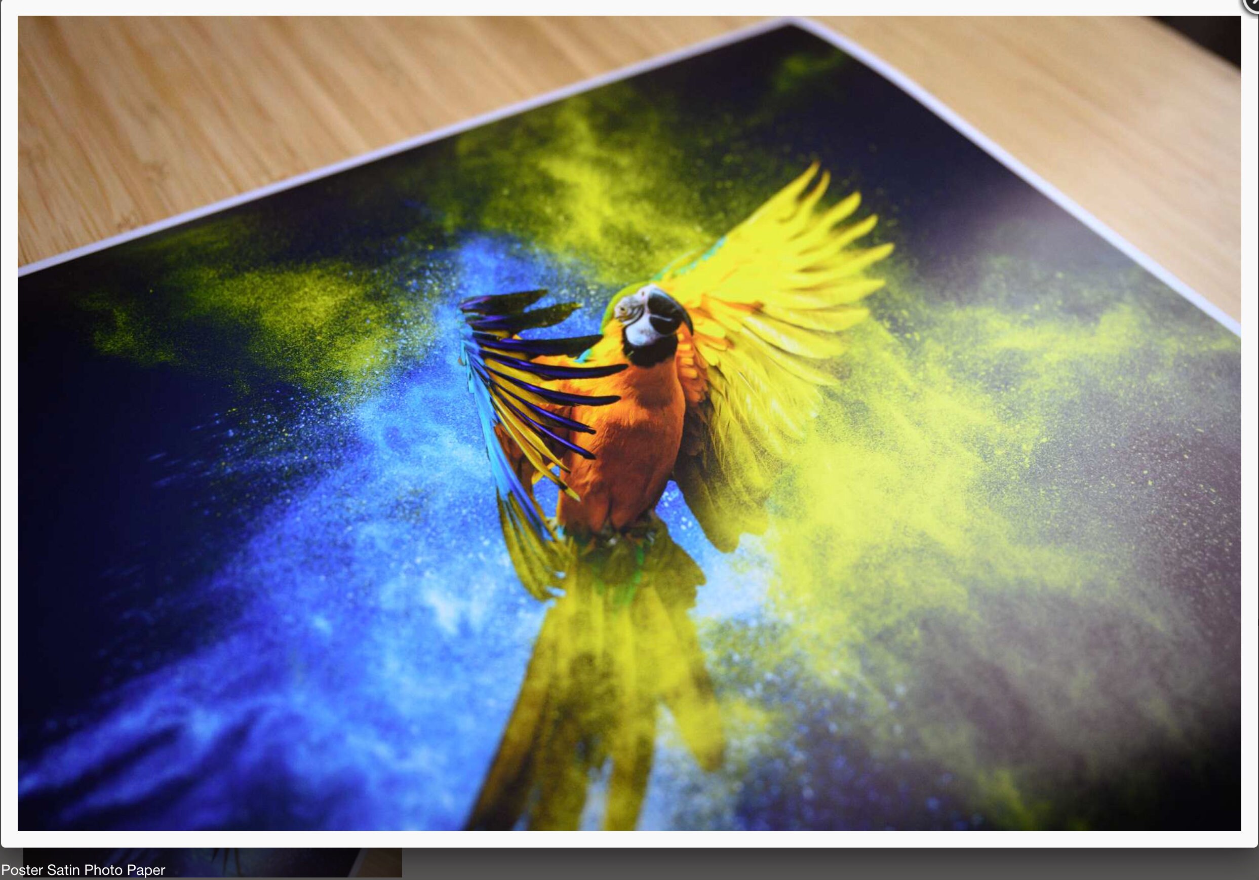 Hot Babe Nude Photo, High Heels, Fine Art Nude Print, Fetish Nude, Nude