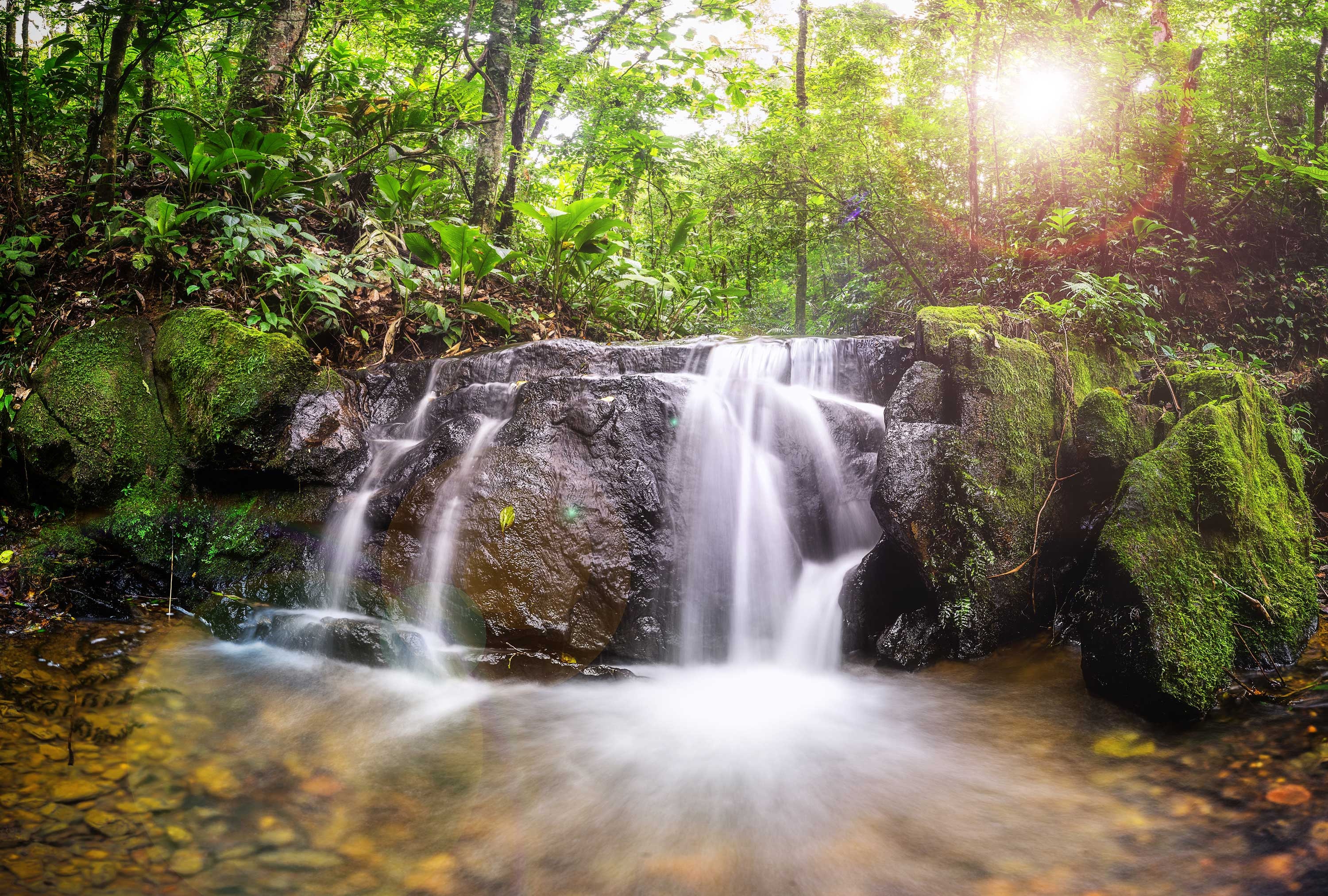 Waterfall Photo Canvas Art Prints Wall Art Poster Original Etsy