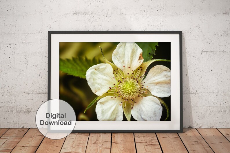 personalized gifts Printable Poster gift for her Instant Download,best friend gifts Digital Download Wall Art Print White Flower Photo