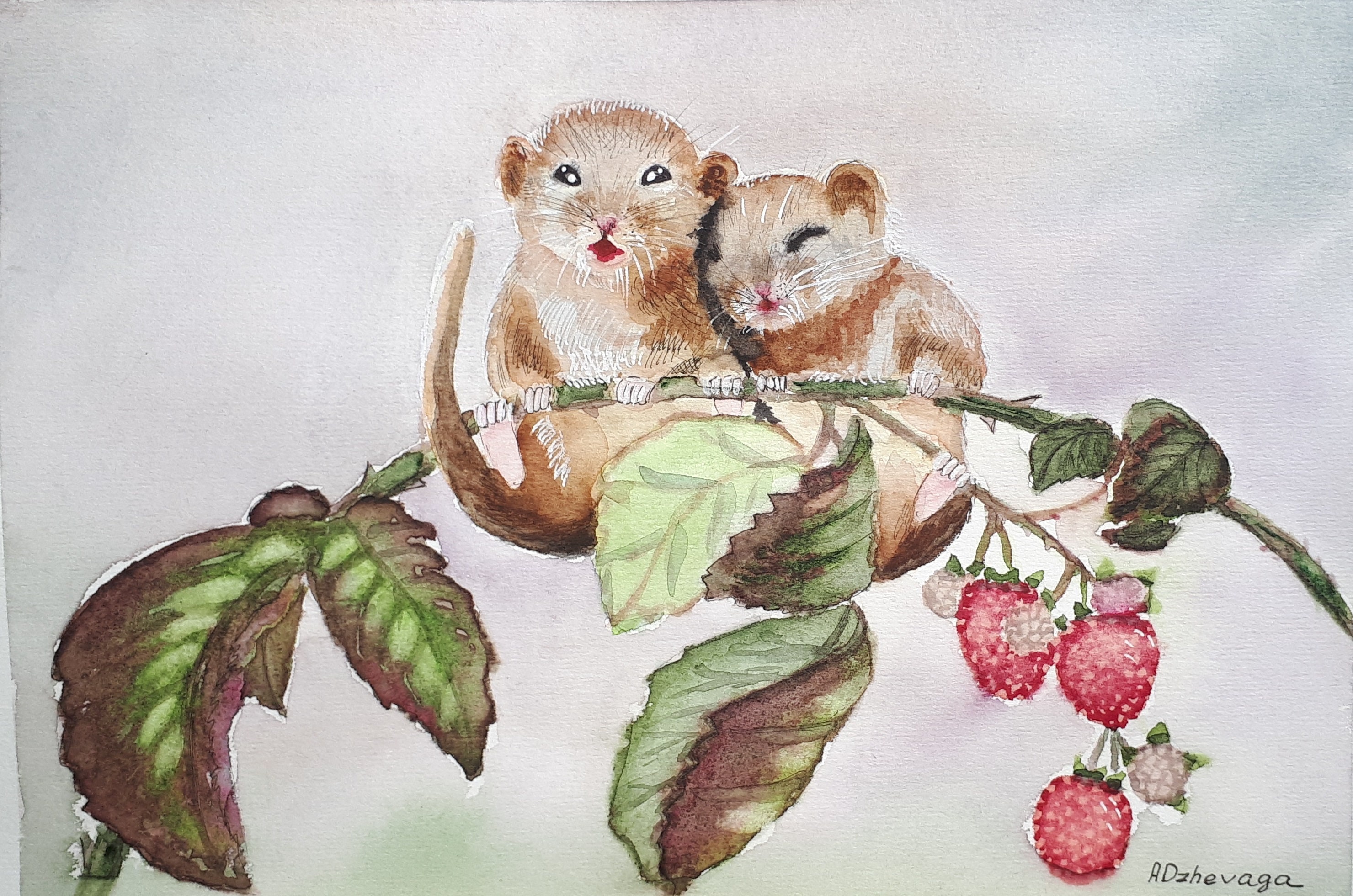 Original Aquarell Malerei süße Maus Mäuse auf einem Himbeeren | Etsy Original Aquarell Malerei süße Maus Mäuse auf einem Himbeeren | Etsy