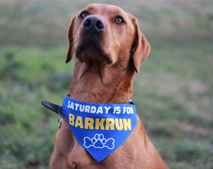 Featured listing image: Saturday is for Bark Run Dog Bandana