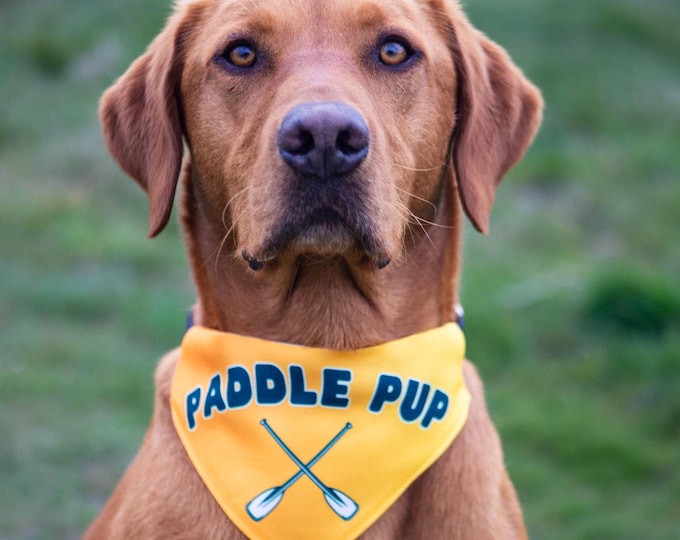 Paddle Pup Dog Bandana