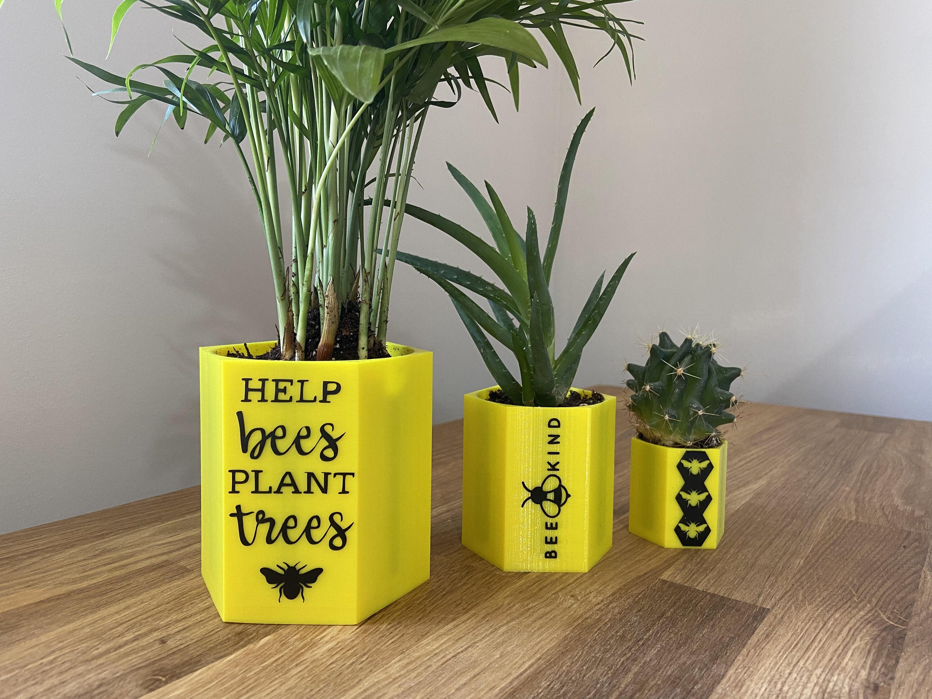 Bee Themed Plant Pots Etsy UK