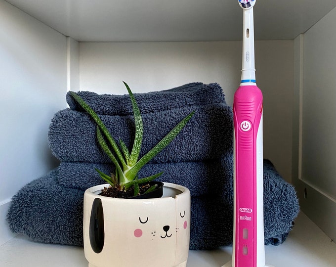 Oral-B Electric Toothbrush holder