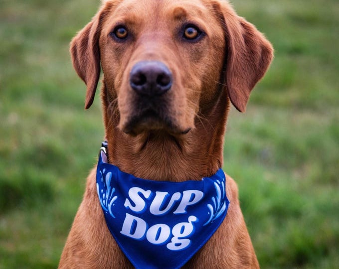SUP Dog Bandana