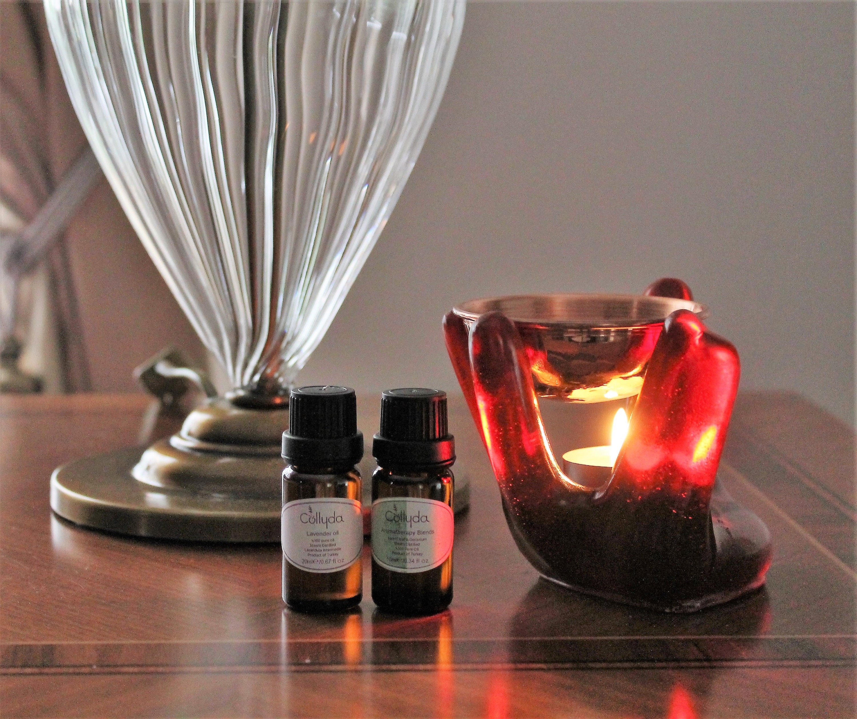 Aromatherapy oil oil burner oil diffuser wax burner Etsy