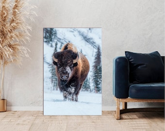 Wild buffalo in the snow landscape canvas Bison wall art Winter print Cottagecore and Farmhouse wall decor Ready to hang