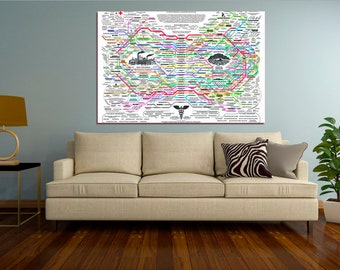 Healing Web Original Pharmaceutical wall art Hospital wall decor Medicine print Gift for doctor art Ready to hang