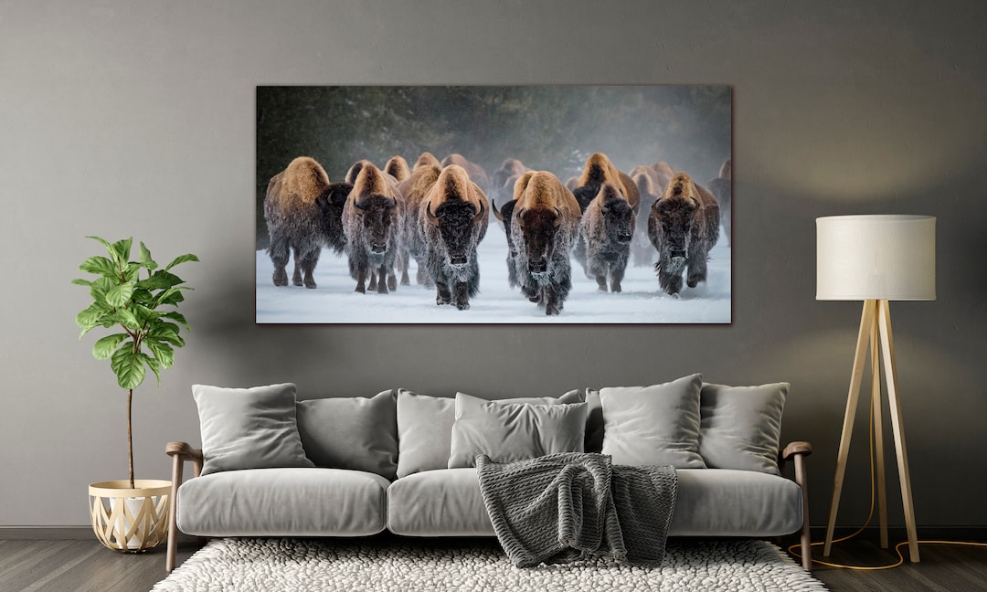 Bison in Snow Canvas Print: Winter Landscape Wall Art - Etsy
