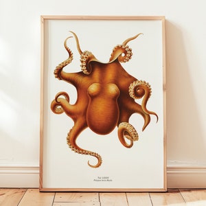 Oktopus Wandbild, Vintage Meeresdekor, elegante Meereskunst, einzigartige Geschenkidee, Unterwasser Natur Poster