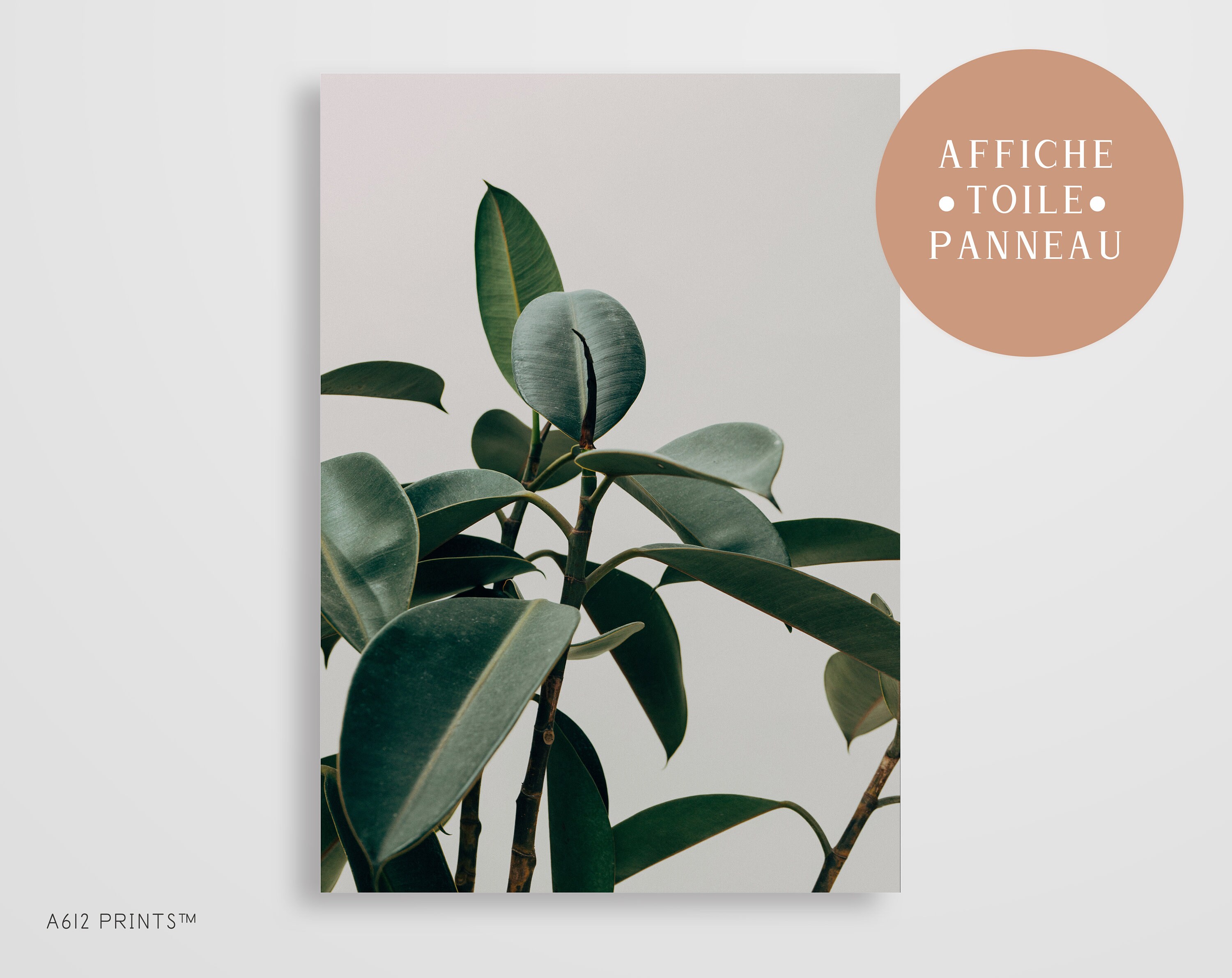 Toile d'art Mural | Tableau Affiche Poster Art Moderne Impression Décoration Murale Plante