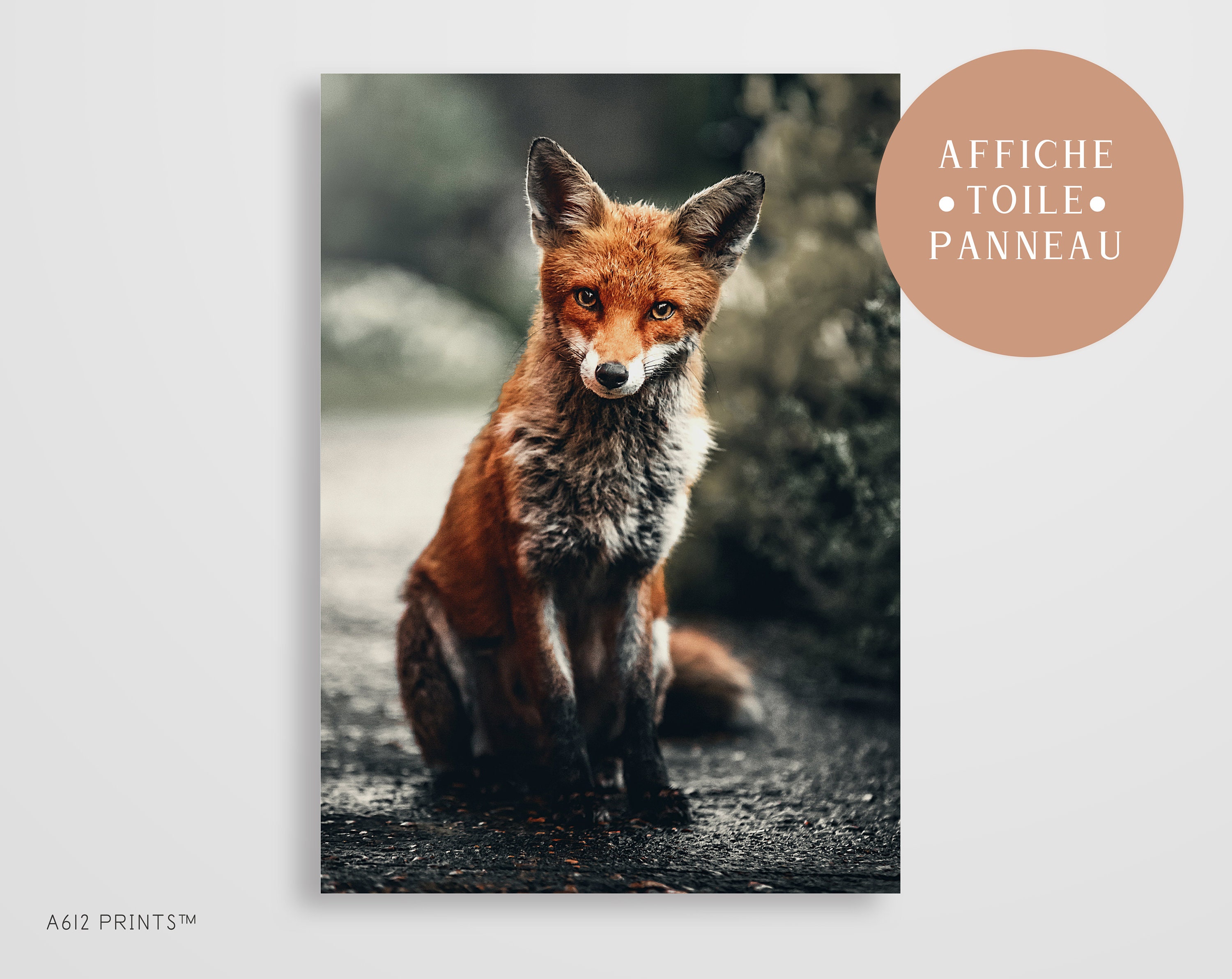 Toile d'art Mural | Tableau Affiche Poster Art Moderne Impression Décoration Murale Renard