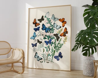 Illustration von Schmetterlingen 1882, Botanische Wandkunst, Natur-Geschenkidee, Vintage-Wanddekoration, Kunstwerk von William Forsell Kirby