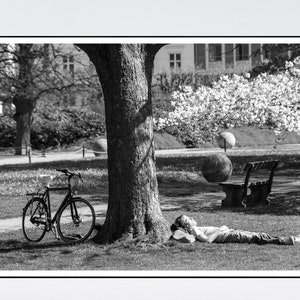 May include: A black bicycle is parked next to a large tree in a park. A person is lying on the grass under the tree, with their head resting on their arm. The person is wearing a white shirt and blue pants. There is a bench in the background.
