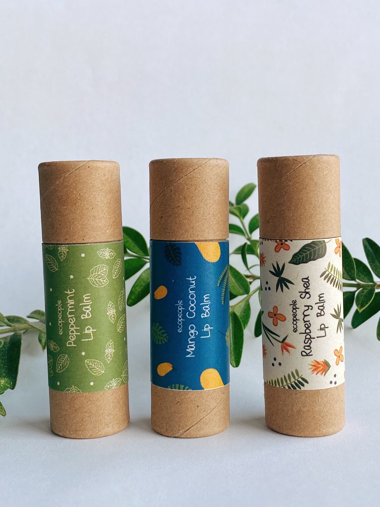 Zero Waste Lip Balm Set of 3 Etsy