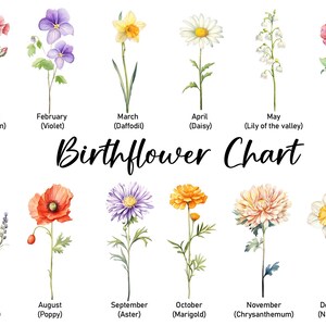 May include: A watercolor birthflower chart featuring twelve different flowers, each representing a month. The chart includes flowers like carnations, violets, daffodils, daisies, roses, and more, with the month and flower name listed below each illustration.