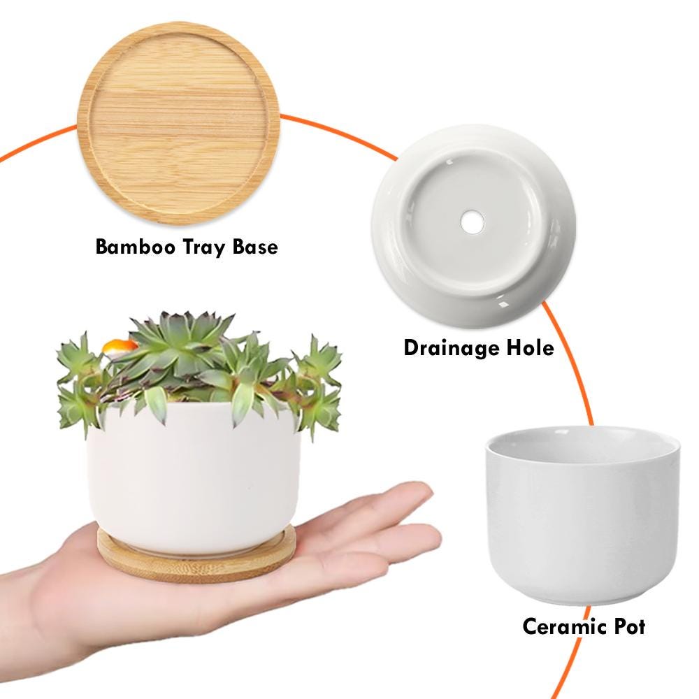 Personalized Toile De Jouy Birth Flowers Plant Pot With Friends' Names, Ceramic Planter With Drainage & Bamboo Tray, Gift For Her/Besties/Sisters