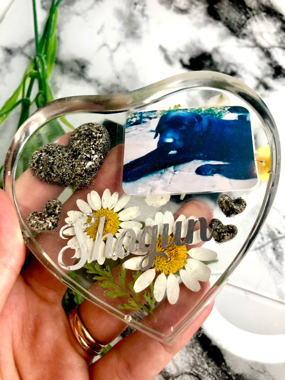 Pet memorial resin ashes personalised pictures Etsy