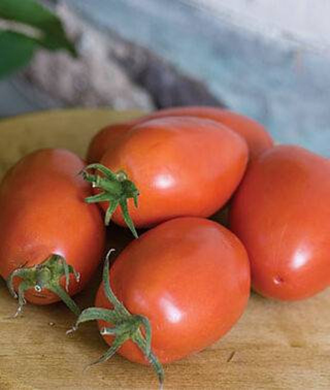 Amish Paste Tomato Seeds Roma type Canning Tomato 100 seed Etsy
