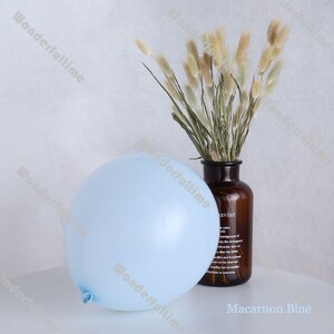 May include: A light blue balloon with a small opening at the bottom. The balloon is sitting on a white surface. A brown glass vase with dried beige flowers is in the background. The text "Macaron Blue" is printed on the surface below the balloon.