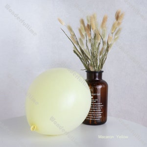 May include: A pale yellow balloon with a tied knot. The balloon is sitting on a white surface next to a brown glass vase with dried beige pampas grass. The vase has a label that reads "Scandinavian" and has text about the emergence of Scandinavian design.