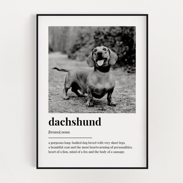 PERSONALISED DACHSHUND DEFINITION Print | Wall Art Print | Dachshund Gift | Dachshund Print | Definition Print | Custom Photo Print