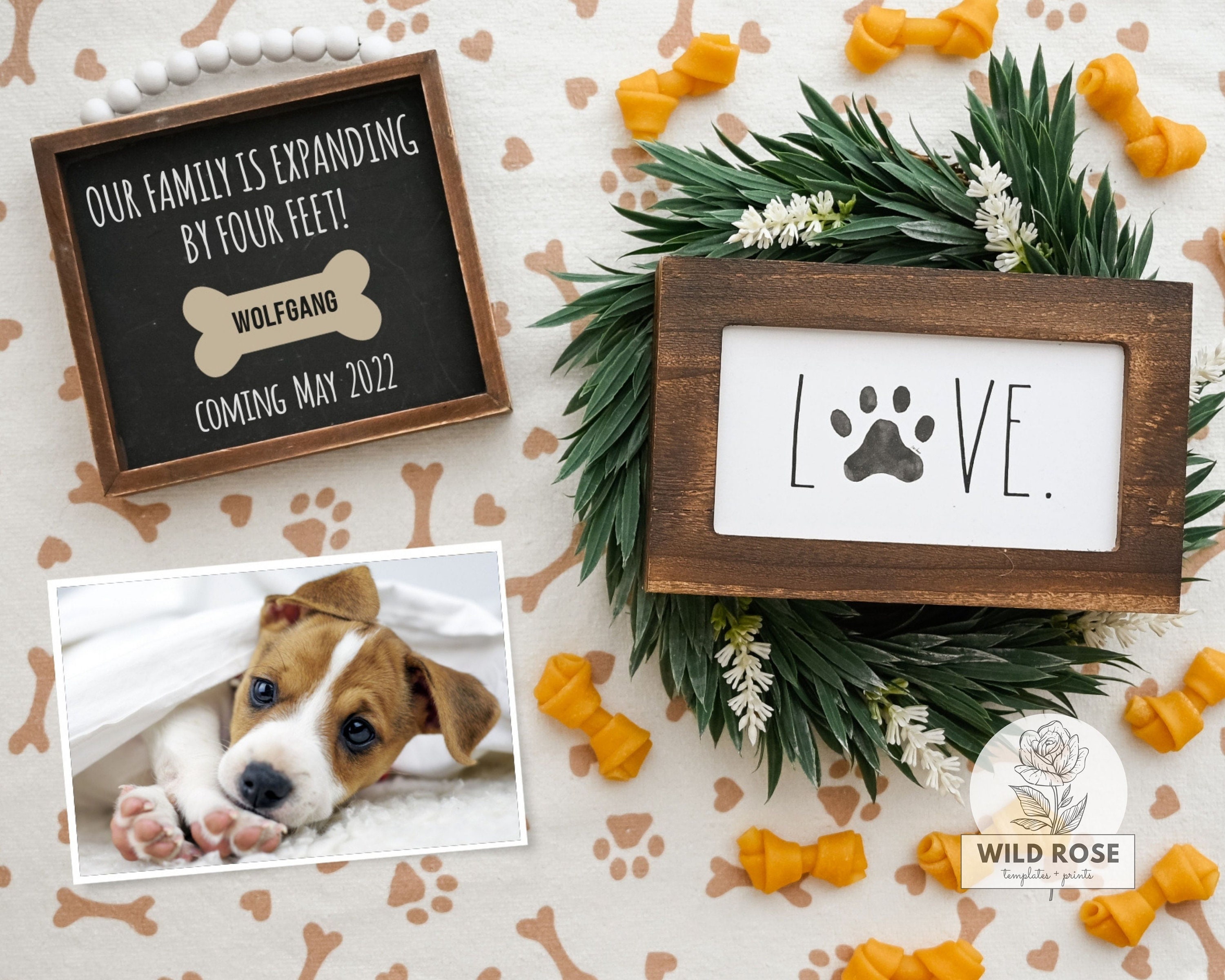New puppy sale announcement