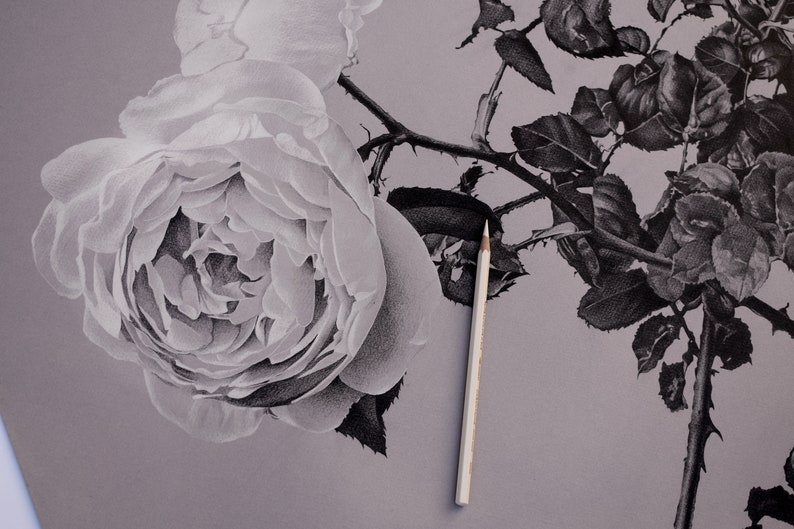 Original Large Pencil Drawing. Photorealistic Drawing. Black and White