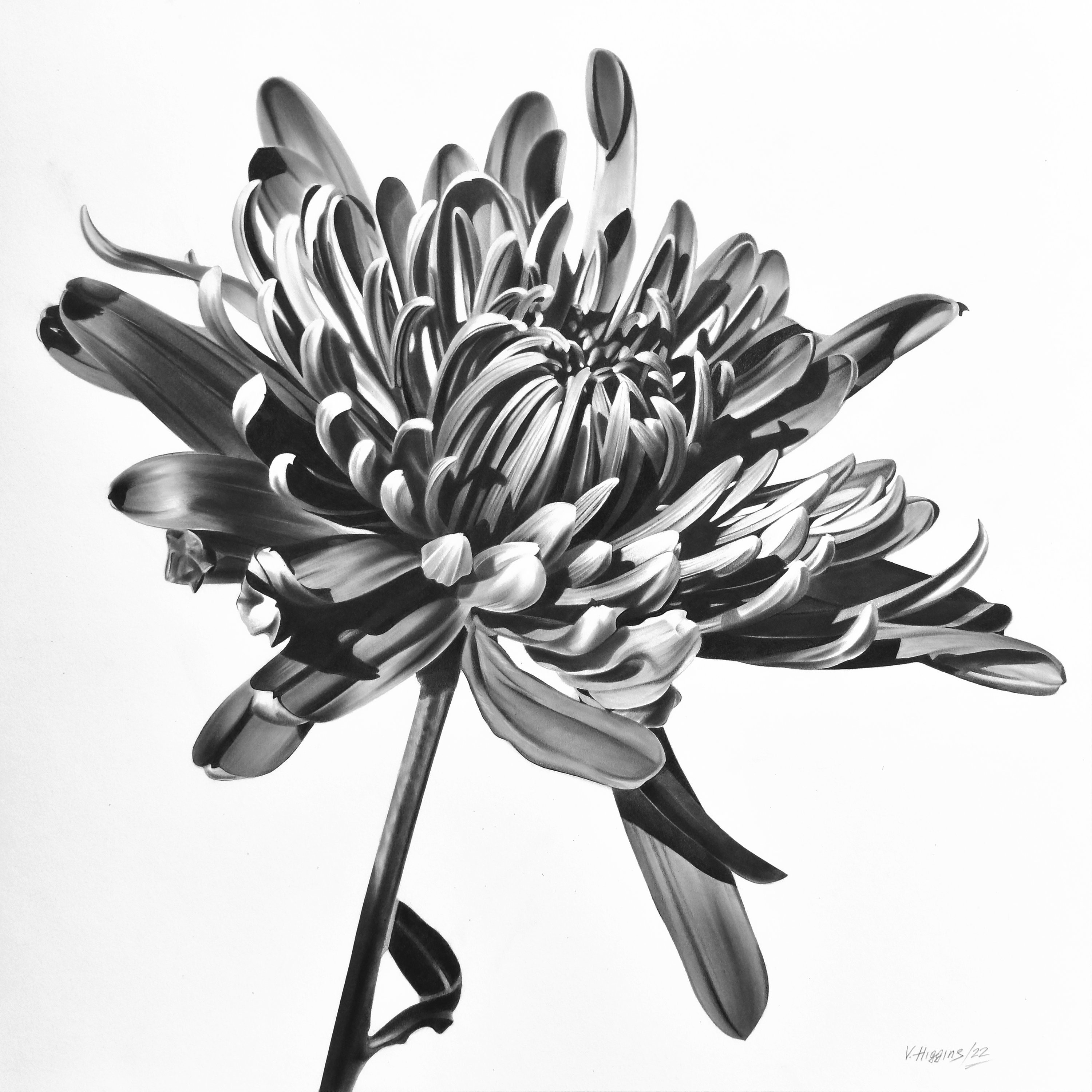 Top 151+ pencil sketch for flowers latest in.eteachers