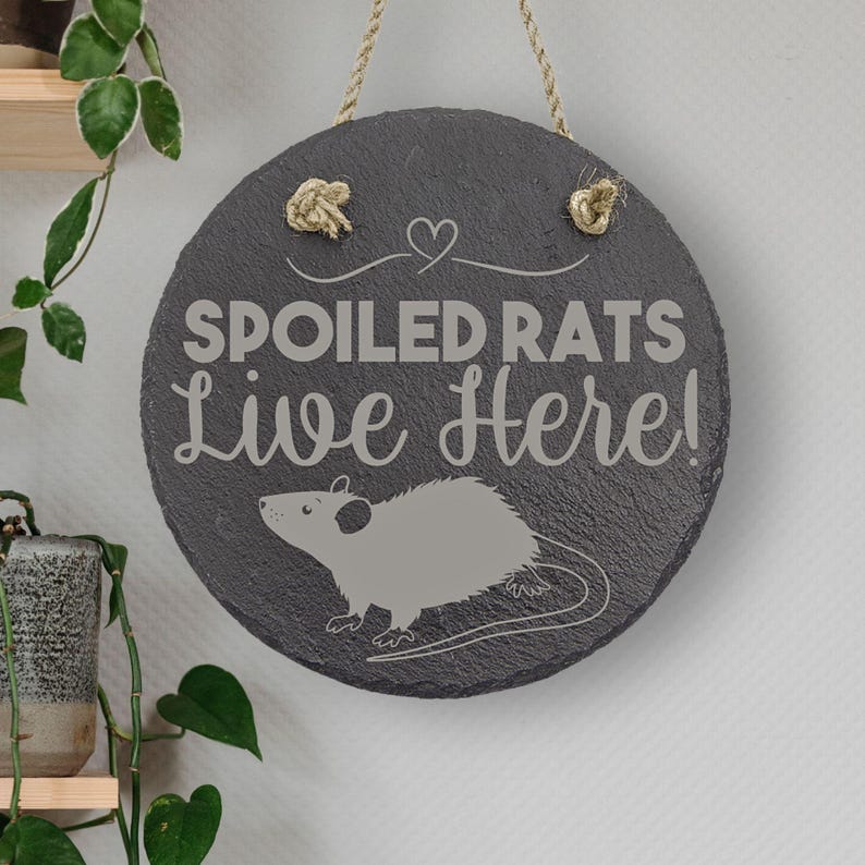 May include: A black slate sign with a rope hanger and the text "Spoiled Rats Live Here!" in white lettering. A gray rat illustration is below the text.