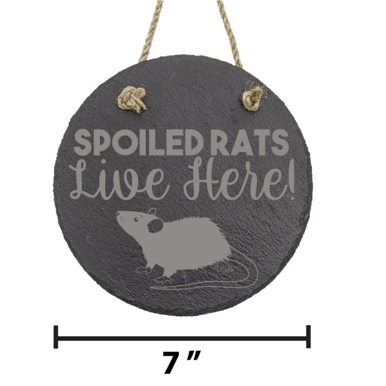 Funny Pet Rat Gifts Spoiled Rats wall rat decor sign for fancy rat owners image 3