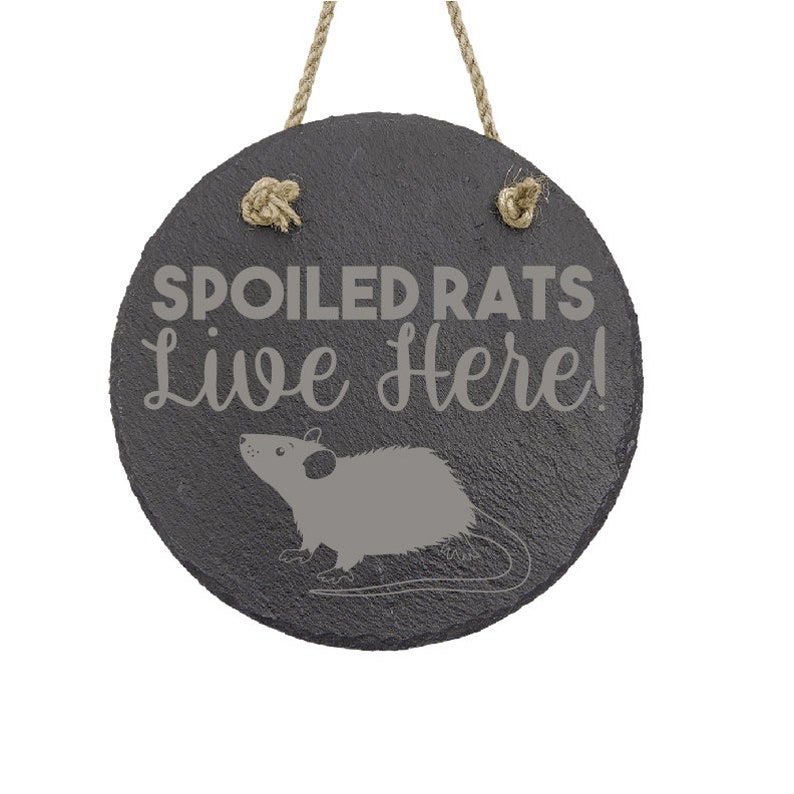 Funny Pet Rat Gifts Spoiled Rats wall rat decor sign for fancy rat owners image 2