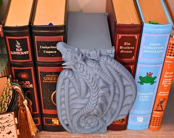 Dragon Book Lover Gift Hanging Dragon book nook for Fantasy Bookshelf Decor