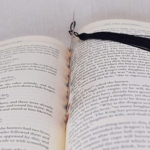 May include: Close-up of a book with a black tassel bookmark. The book is open to a page with text about two brothers and a hunter. The text reads, "...and the other went into an inn, gave his animals..."